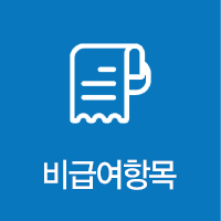 비급여 항목